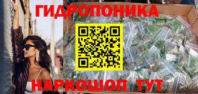 мдпв Кингисепп