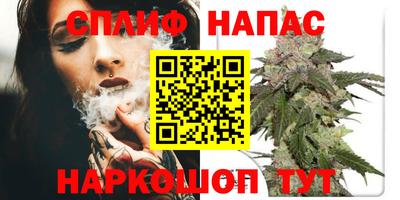мдпв Кингисепп