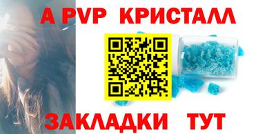 мдпв Кингисепп