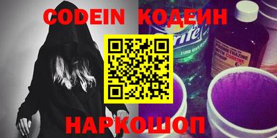 мдпв Кингисепп