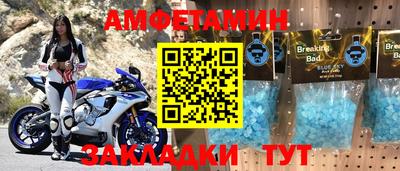 мдпв Кингисепп
