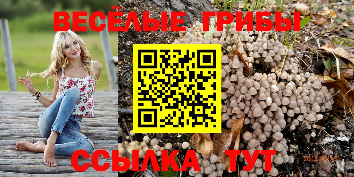Галлюциногенные грибы GOLDEN TEACHER Киров